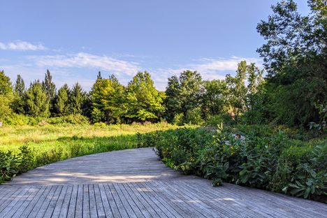 The landscape is ringed by wooden walkways.