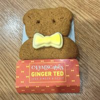 Profile image for GingerbreadKitten