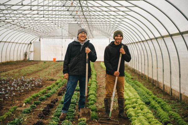 Ziibimijwang Farm's very existence is an act of advocacy for Indigenous food soveignty.