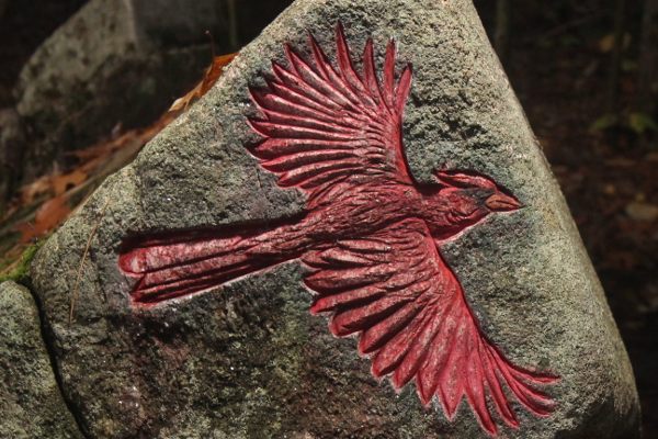The Red Cardinal Petroglyph