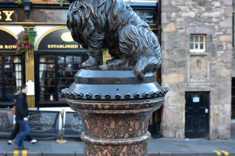 Greyfriars Bobby