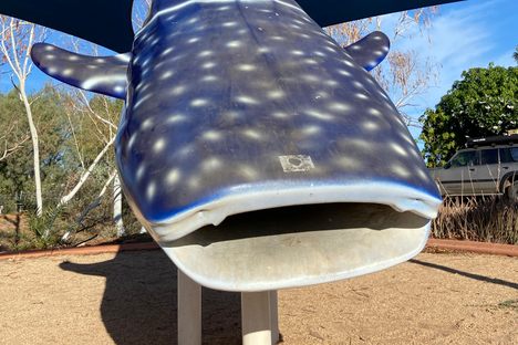 Ningaloo George