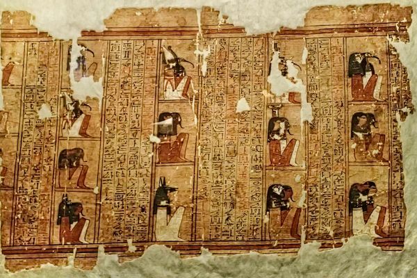 Scientists had an innovative idea to use a natural food with Egyptian scrolls.