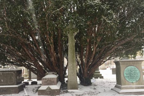 Grave of Arthur Twining Hadley