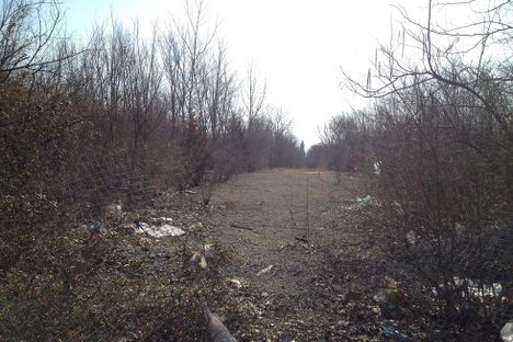 Site of Pruitt-Igoe today