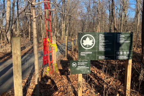 Van Cortlandt Park Monoliths 