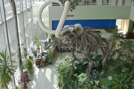 View from 2nd floor