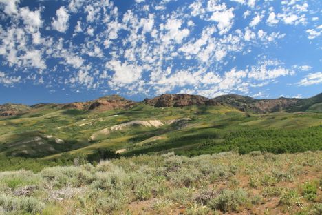 Rolling hills of Jarbidge Wilderness