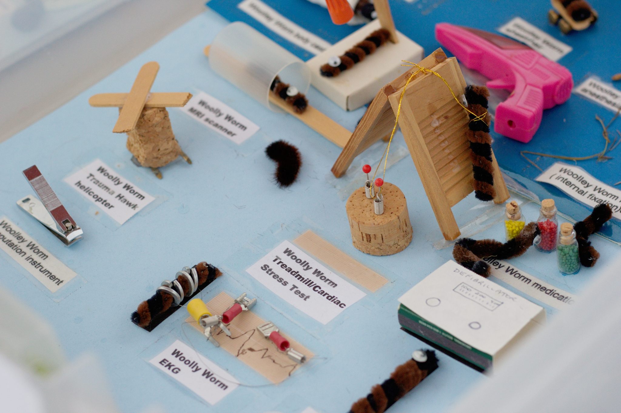 A first-aid station custom-built for woolly worms.