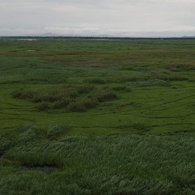Keibul Lamjao National Park