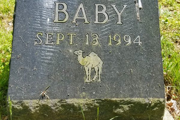 One of Doris Duke’s camels, Baby.