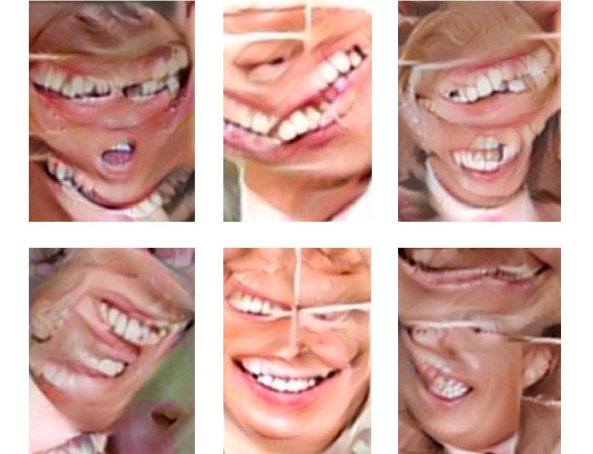 <em>Toothpaste Advertisement Trump</em>.