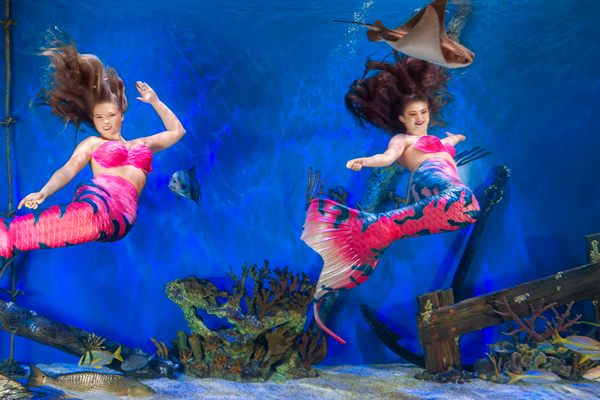 Decked out in tails made in Ducharme’s shop, the mermaids perform underwater acrobatics for visitors.