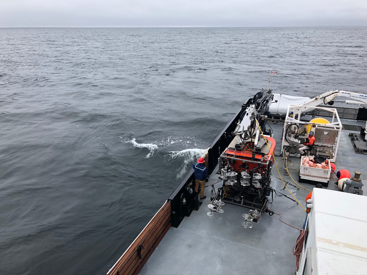 Researchers from the Monterey Bay Aquarium Research Institute (MBARI) prepare to deploy a remotely operated vehicle to the twilight zone in 2018.