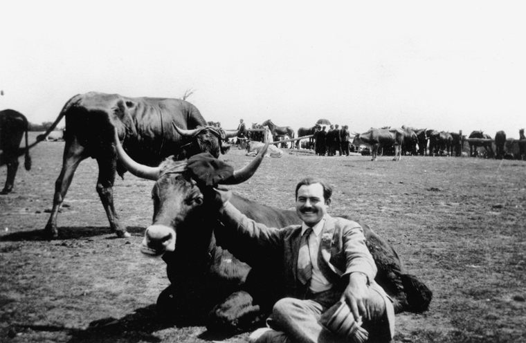 Hemingway seems more comfortable with the bulls when he's not trying to fight them.
