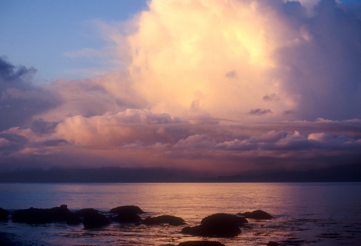 Sunset over the Juan de Fuca Strait, where Indigenous communities and scientists are working to save the future of regional kelp species.
