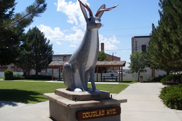 Former World’s Largest Jackalope