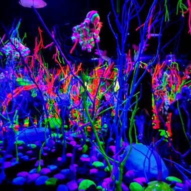 The Glowquarium