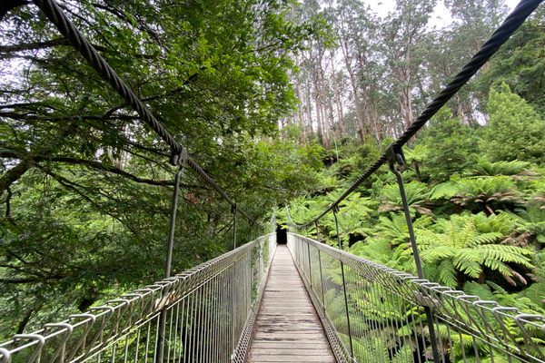 Corrigan Suspension Bridge