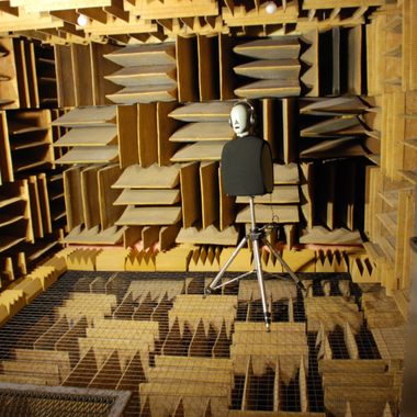 The anechoic chamber