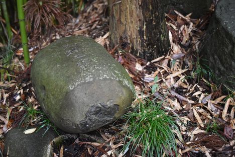 The stele is largely neglected and forgotten today.