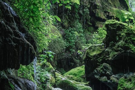 The cave's end.