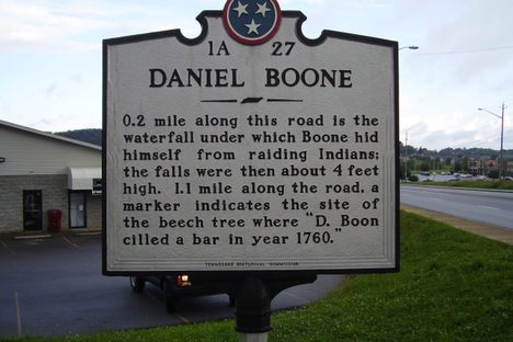 Marker showing location of the tree