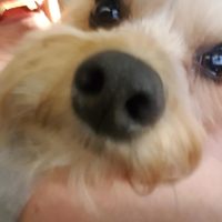 Profile image for redclover