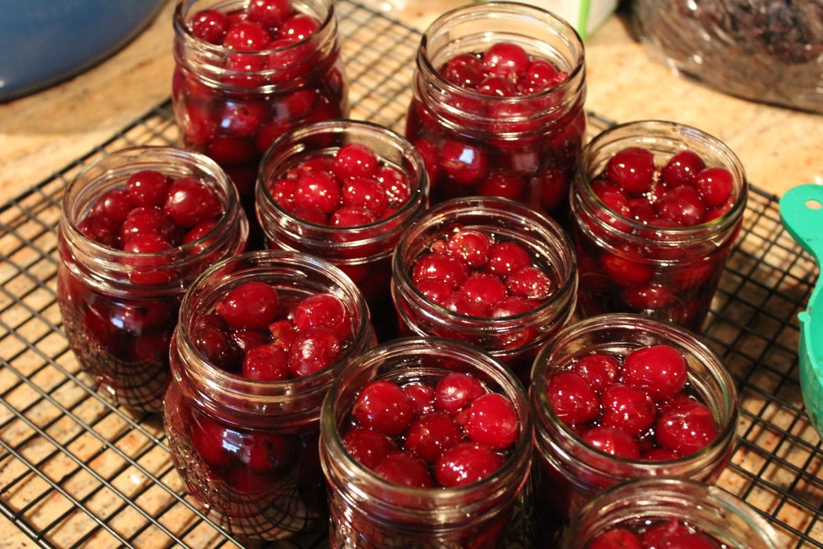 How a Vibrant, Factory-Made Sweet Usurped the Original Maraschino Cherry