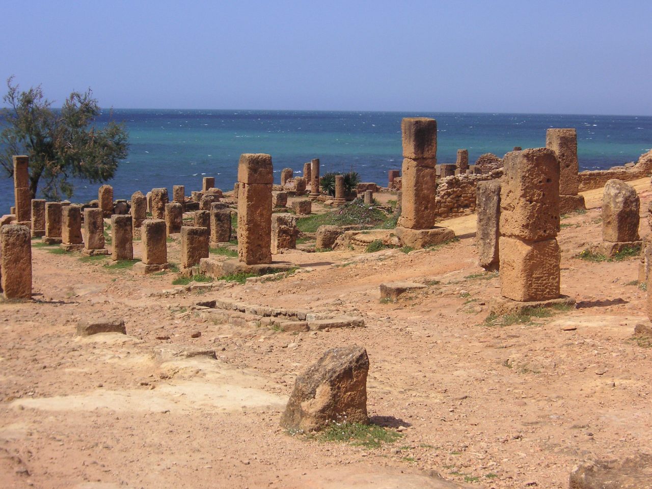 Rows of surviving column bases hint at the scale of Algeria's ancient site of Tipasa