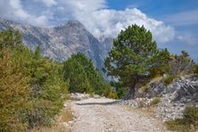 Llogara National Park in Albanian Riviera