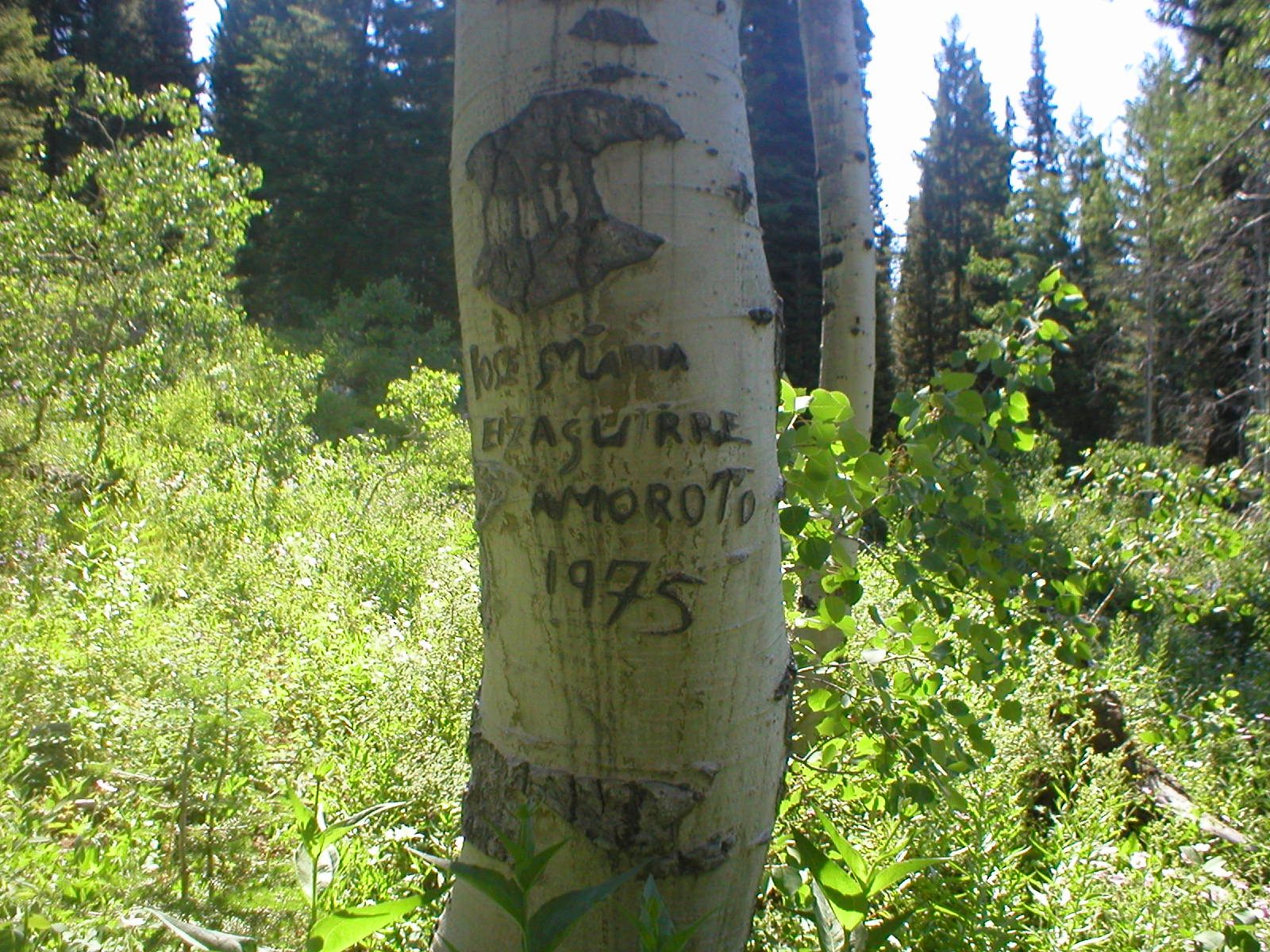 This Idaho carving from 1975 lists the name, Jose Maria Eizaguirre, and the hometown, Amoroto, of the carver. Amoroto is located in the Bizkaia province in Basque Country, where about 90 percent of Idaho Basques emigrated from, says John Bieter.