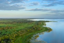 Everglades National Park is a wonderland for wildlife watching. Within its 1.5-million acres, Snake Bight Trail is a prime spot to see spectacular shorebirds wading in the marsh. 