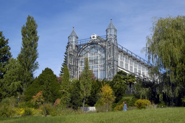Berlin Botanic Garden