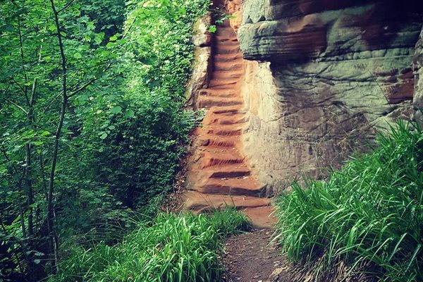 Steps leading up to Peden's Cave.