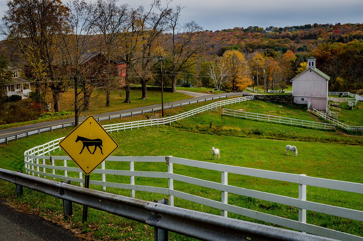 New England's town pounds, writes historian Elizabeth Banks MacRury, can be seen as the foundations upon which our modern roads, governments, and laws were built, reminding us “of the paths, ways, and directions which have been made for us—which we follow knowingly or unknowingly.”
