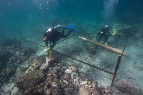 Shipwreck from Vasco da Gama's Armada Found off Arabian Peninsula