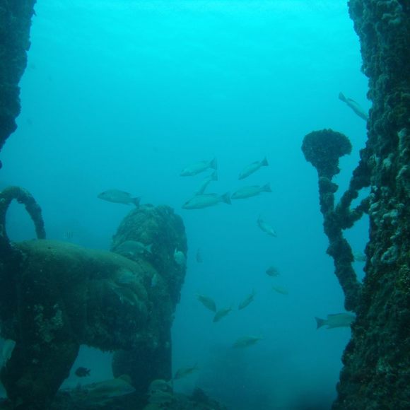 Here is Miami Beach's 7-Mile-Long Underwater Sculpture Park