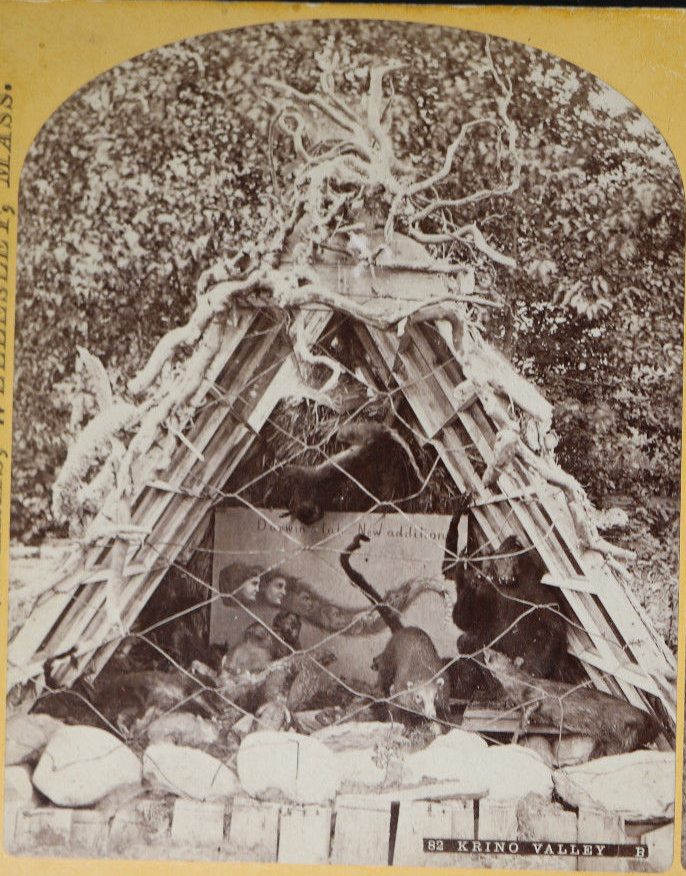 "Darwin's Hut," a diorama on Baker's estate, comically illustrating the questionably complete evolution from monkey to man. 