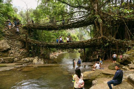 There are 72 bridges and other living root structures in the Indian state of Meghalaya, some of which date back 500 years. Among the best known is this double-decker bridge in Nongriat village. 