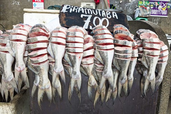 Order fresh fish by weight.