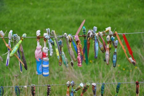 The toothbrush fence.
