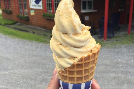 Maple Creemee