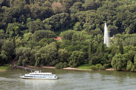 Andernach Geyser