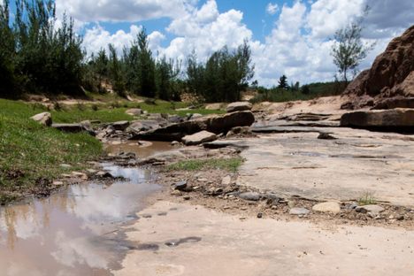 Subeng River dinosaur footprints.
