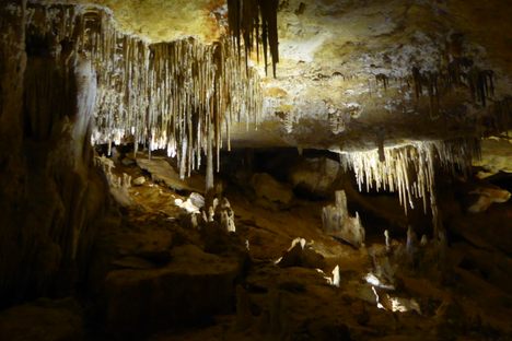 Part of the Victoria Fossil Cave network, where the prehistoric marsupials were found.