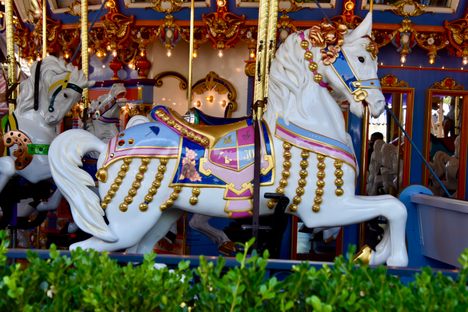 Jingles the carousel horse.