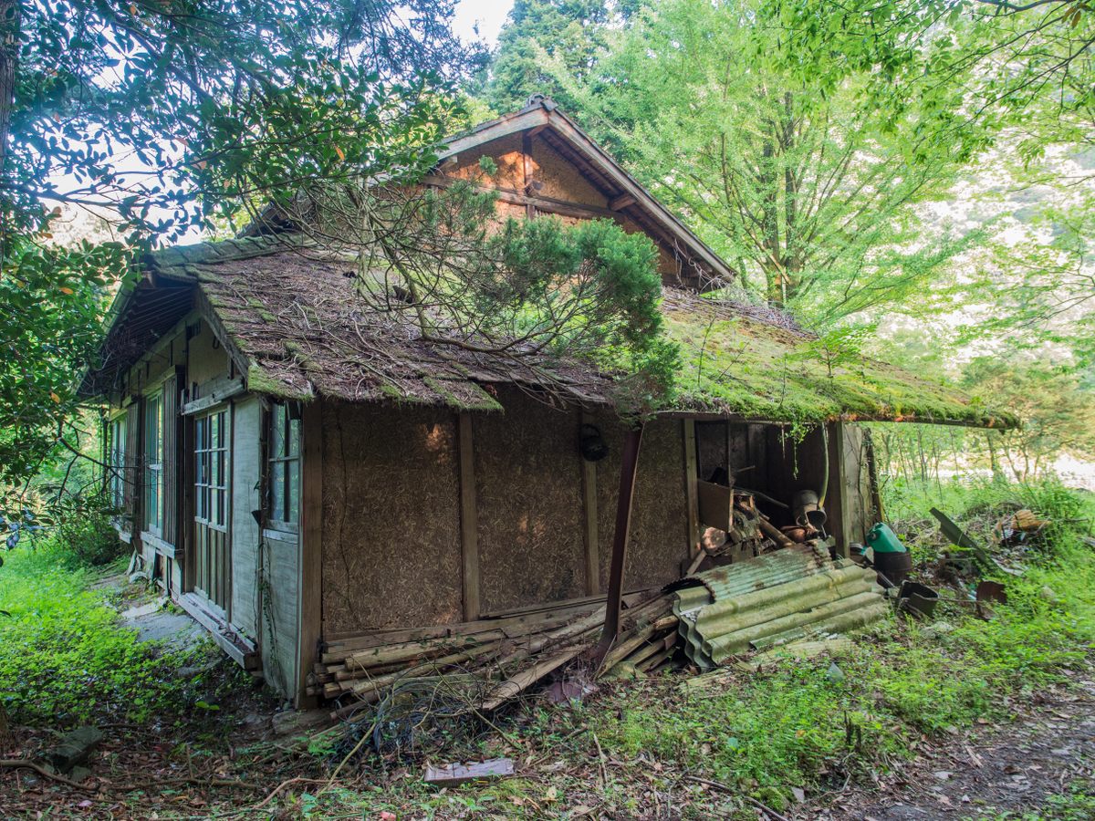 Greenery surrounds a disused farmhouse in Ehime.