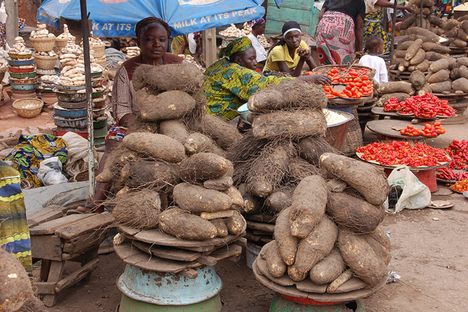 Yams for sale at a market.