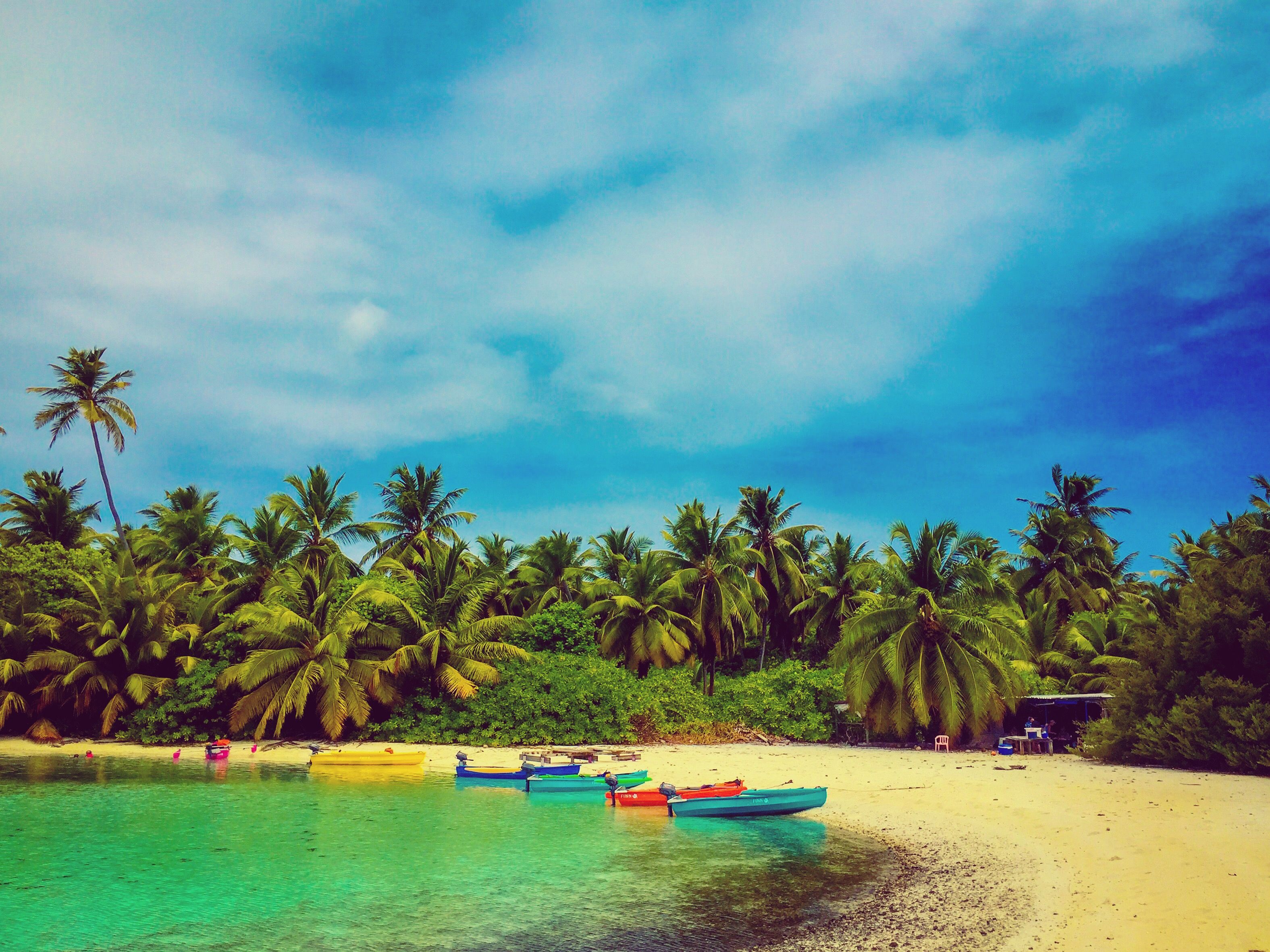 Dreamy beaches aren't immune from trash pileups.